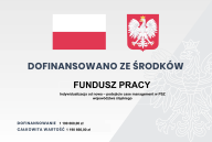 Obrazek dla: Podsumowanie projektu pilotażowego Indywidualizacja od nowa - podejście case management w PSZ województwa sląskiego